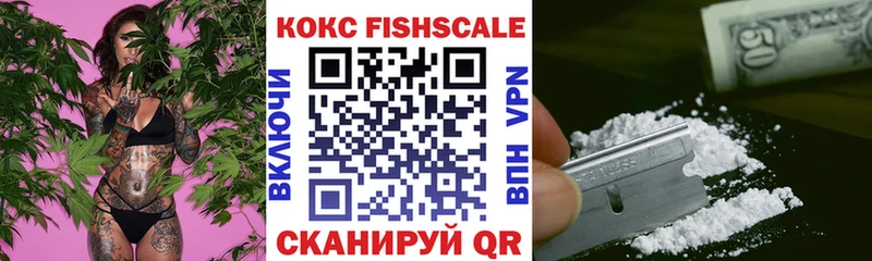 дарнет шоп  нарко площадка состав  COCAIN Fish Scale  Разумное  OMG ССЫЛКА 