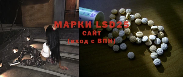 мдпв Горнозаводск